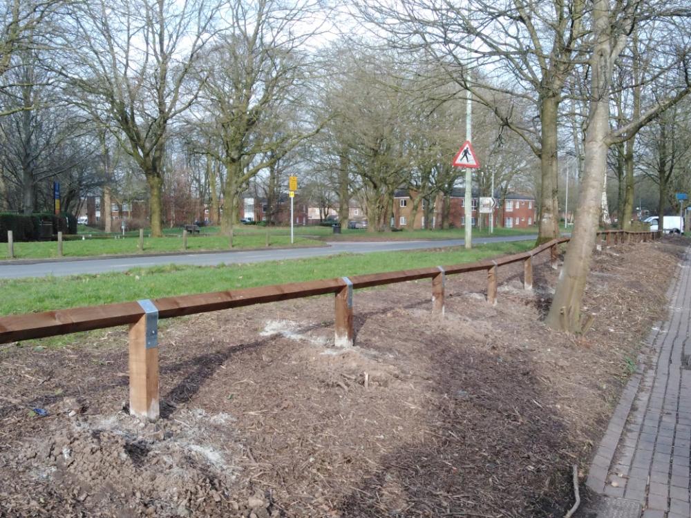 2020 in Photographs around the Village - January and the new knee rail was installed