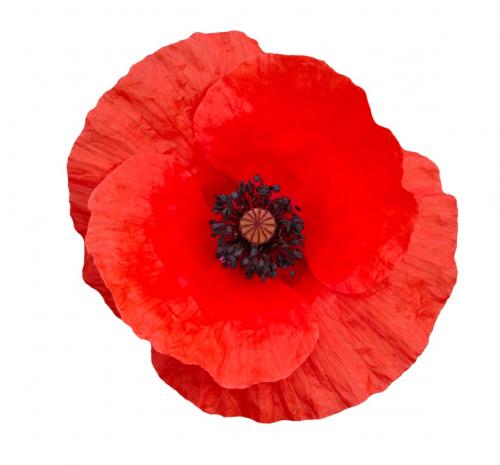 Astley Village Proposed Community Remembrance Garden