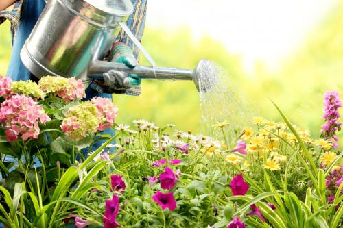 The Chorley Flower Show, Astley Park - Friday 29, Saturday 30, and Sunday 31 July 2022