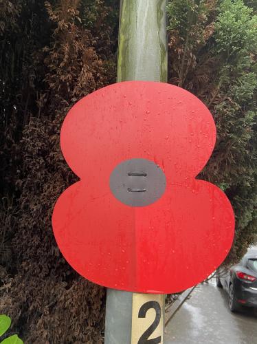 Remembrance Sunday/ Poppies in the Parish
