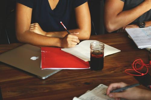 Appointment of Committees, Membership, Terms of Reference